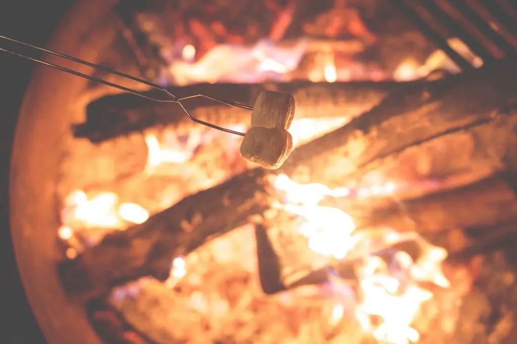 How to host a bonfire party